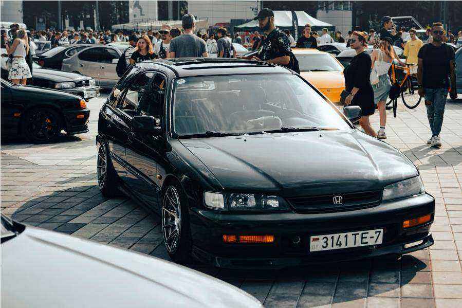 Search car